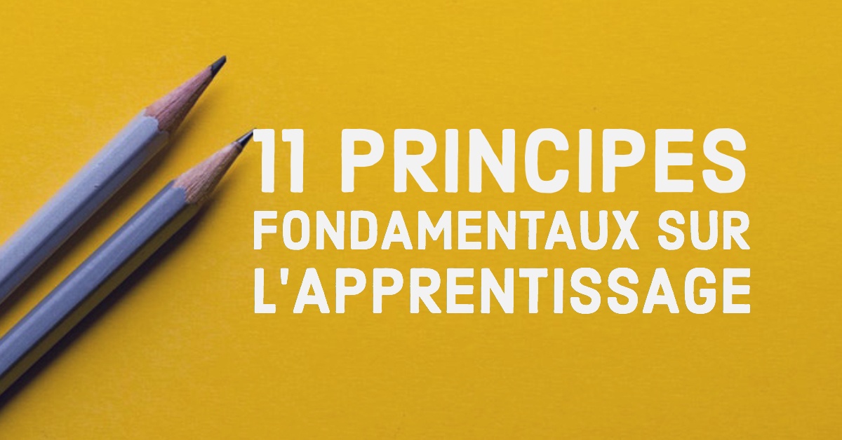 11 Principes Fondamentaux Sur L'apprentissage