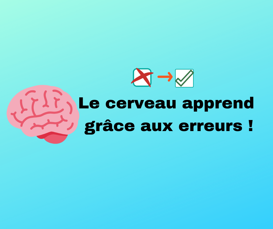 Le Cerveau Apprend Grâce Aux Erreurs