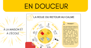 La roue du retour au calme : un outil clé pour réguler les émotions